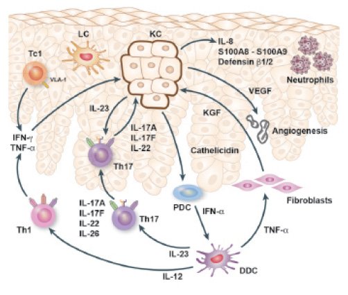 Psoriasis and chronic