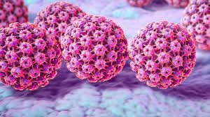 HPV-Infektion erhöht neben Krebsgefahr auch Herz-Kreislauf-Risiko